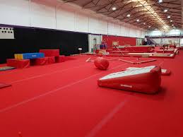 Image result for Kestrel Gymnastic Group