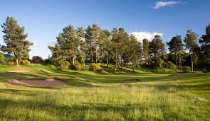 Image result for Forfar Golf Club