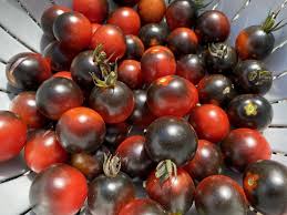 Afbeeldingsresultaat voor black cherry tomato