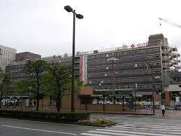 「野田洋子 のだめカンタービレ」の画像検索結果