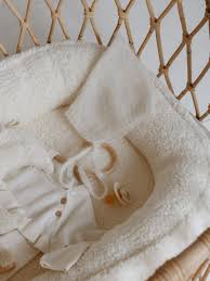 Attēlu rezultāti vaicājumam “Diaperis boleti nest”