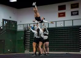 Image result for Elements Acro