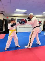 Image result for Dragon Martial Arts Association