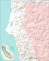 Attēlu rezultāti vaicājumam “Calicium adspersum”