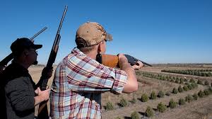 Image result for Spellbrook Clay Shooting Club
