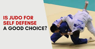 Image result for Judo/Ju-Jitsu Self Defence