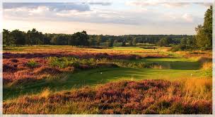 Image result for Walton Heath Golf Club