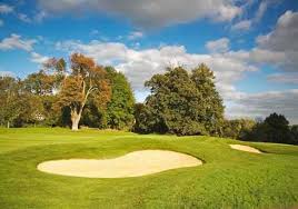 Image result for Bradfield Cricket Club