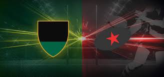 Image result for Litchfield Saracens