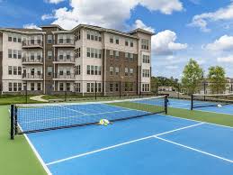 Image result for Sycamore Ttc