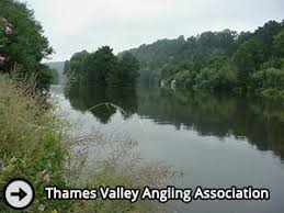 Image result for Thames Valley Angling