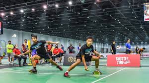 Image result for Pioneers Badminton Club
