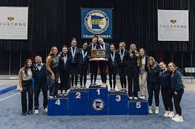 Image result for Breckland Forest Gymnastics Club 2004