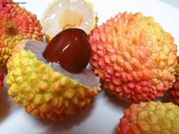 Image result for Litchi chinensis