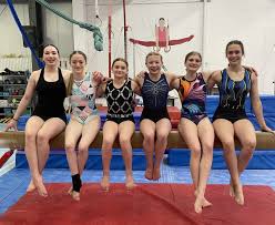 Image result for Sudbury Gymnastics Club