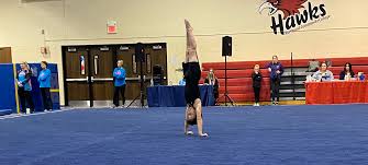 Image result for Lincoln Gymnastics Club