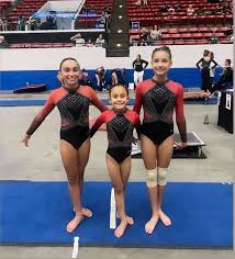 Image result for Elite Recreational Gymnastics Club