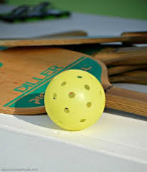 Image result for 1st New Forest Pickleball Club