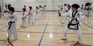 Image result for moray coast tang soo do