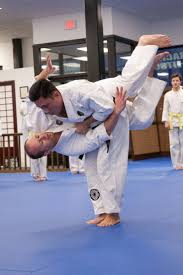 Image result for Bushin Kenpo Kai Schools
