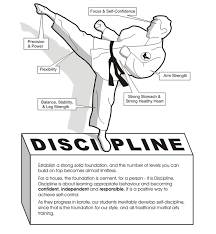 Image result for Kenshukai Karate