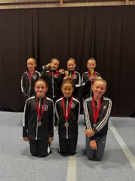Image result for Spelthorne School Of Gymnastics
