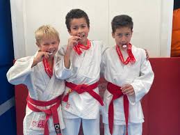 Image result for Redbridge Judo Club