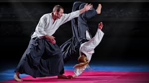 Image result for AikidoFlow