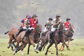 Image result for Cirencester Park Polo Club