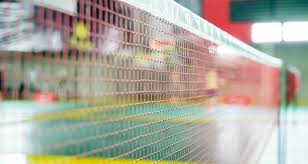 Image result for Active Lives Badminton Club