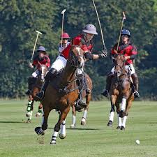 Image result for Cirencester Park Polo Club
