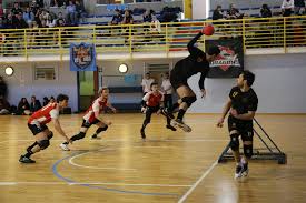Image result for Portsmouth Tchoukball Club