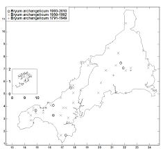 Attēlu rezultāti vaicājumam “Bryum amblyodon”