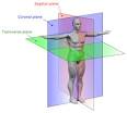 be "in valgus".