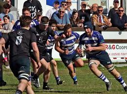 Image result for Lowestoft and Yarmouth Rugby Union Football Club