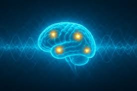 Image result for consciousness