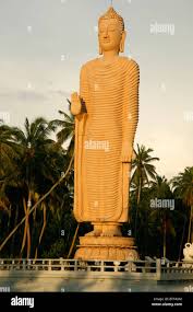 Image result for Buddha Maligavilla Srilanka