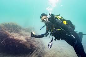 Image result for Guildford British Sub Aqua Club