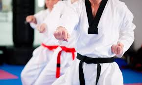 Image result for Elite Force Martial Arts