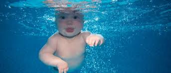 Image result for Cornish Swim Academy