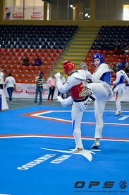 Image result for Taekwondo Athletes Program USA