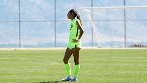 Image result for Meadows Sports Association