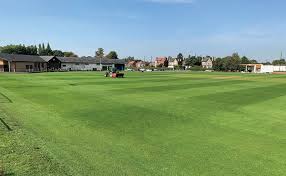 Image result for Timperley Lacrosse Club