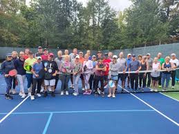 Image result for Brookside Badminton Club