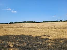 Image result for Chelmsford Rambling Club