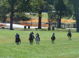 Image result for Woodhill Riding Club