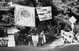 Image result for bohemian grove