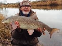 Image result for Runnymede Angling Association