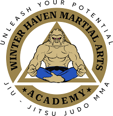 Image result for Derwent Valley Ju-Jitsu Academy