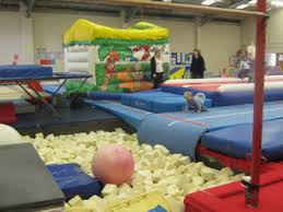 Image result for Harlequins Gymnastics Club